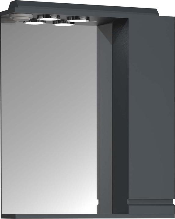VCM Bathroom Mirror Wall Mirror Width 60 cm Wall Mirror Mirror Cabinet Bathroom Revolving Door (60 x 14 cm)