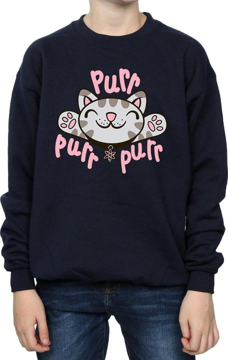 Image du produit Big Bang Theory - Sweat SOFT KITTY PURR - Garçon (128)