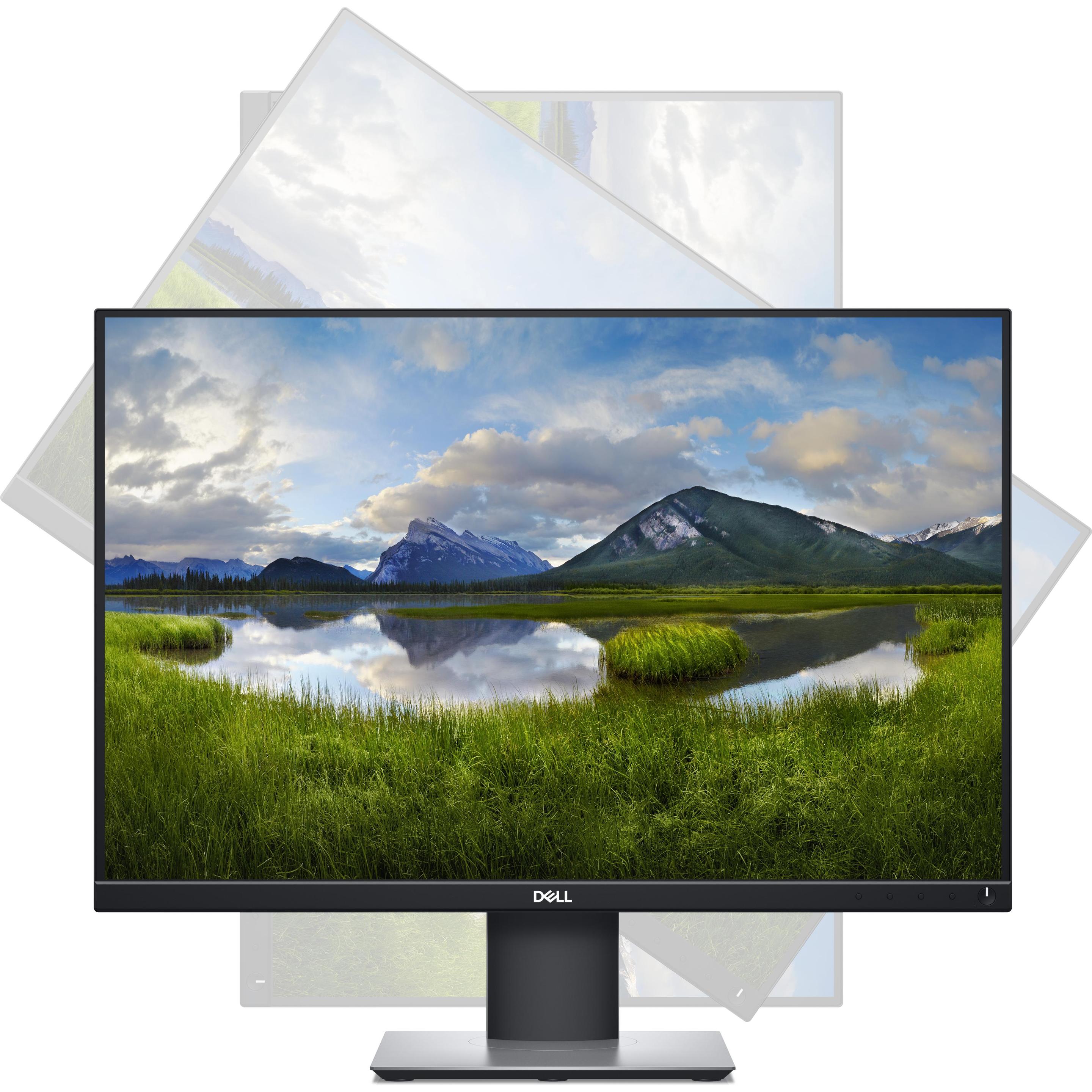 Dell P2421 (1920 x 1200 Pixel, 24.10"), Monitor, Schwarz