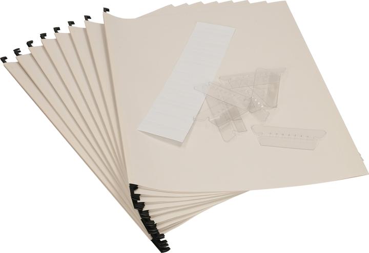 Bigso Hängemappen (A4, 8 x)