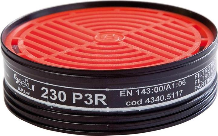 Ekastu Sekur Partikelfilter 230 EN 143 P3R D f.Polimask 230/GAMMA/Silikone 2 St./Btl.EKASTU (P3, 2x)