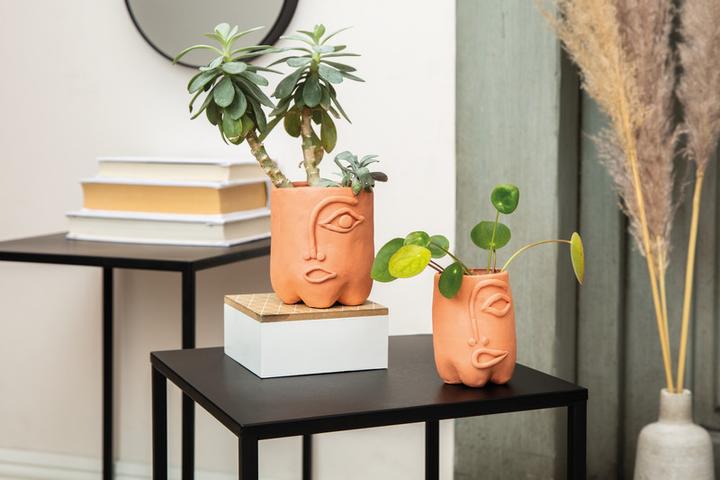 Image du produit Fimo Pâte à modeler air basic