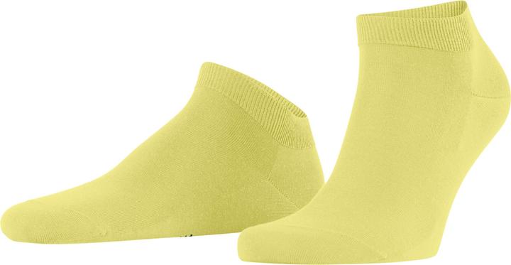 Produktbild Falke ClimaWool Herren (45 - 46)