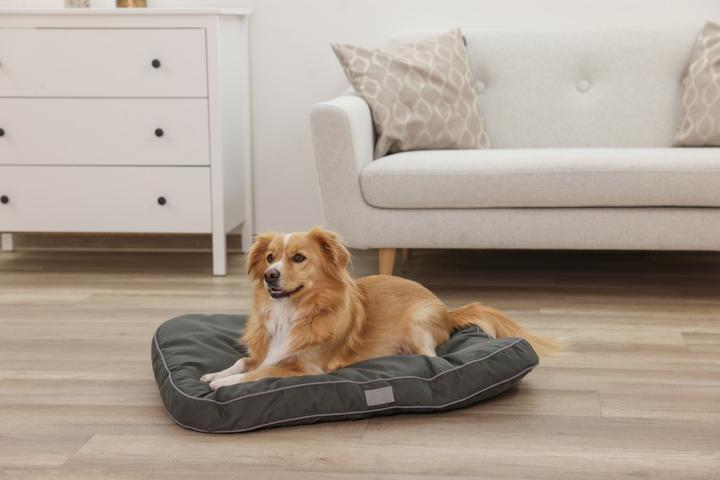 Image du produit Kerbl Materac Jerome 60 x 40 x 6 cm ciemnozielony (Chat, Chien)