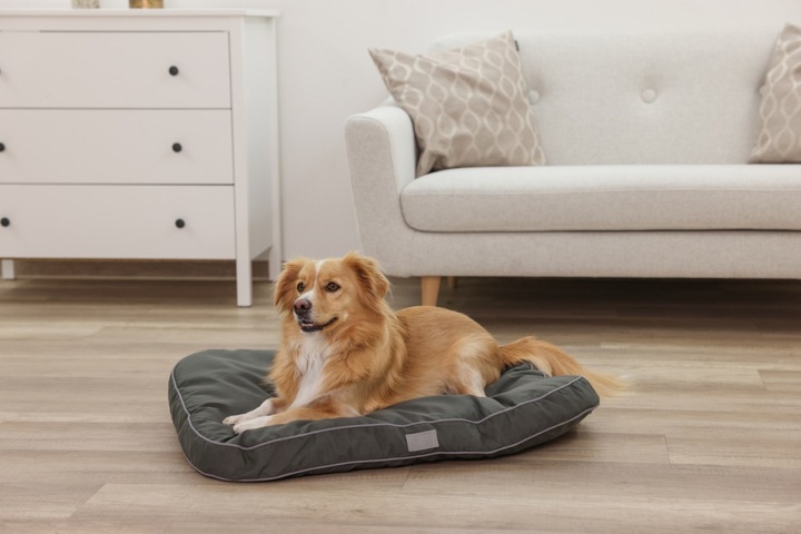 Immagine prodotto Kerbl Materac Jerome 60 x 40 x 6 cm ciemnozielony (Gatto, Cane)