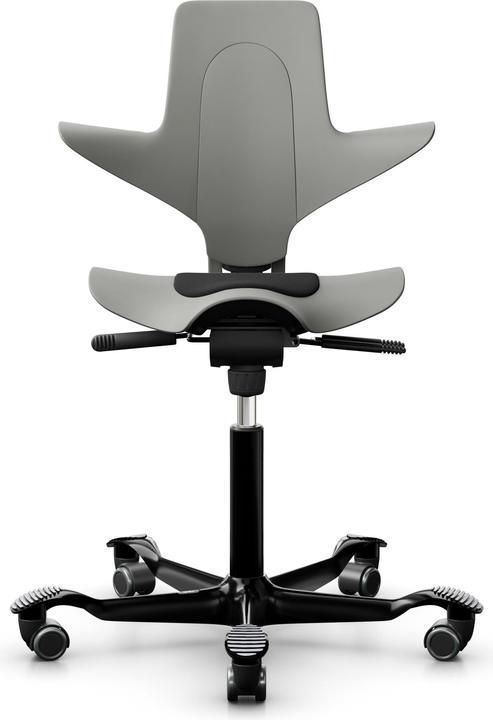 HAG Capisco Puls 8010