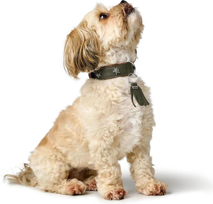 Immagine prodotto Hunter Collare Monaco 42/S, pelle di vacchetta, verde/cognac, circonferenza del collo (42, Cane, Generale)