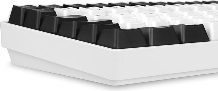 Produktbild Sharkoon SGK50 S3 (DE, Kabelgebunden)