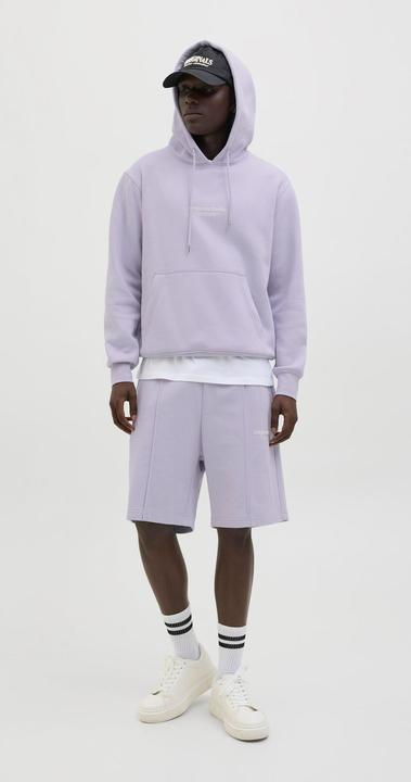 Actual product image Jack & Jones Jpstkane Vesterbro Sweat Shorts Lng Sn (M)