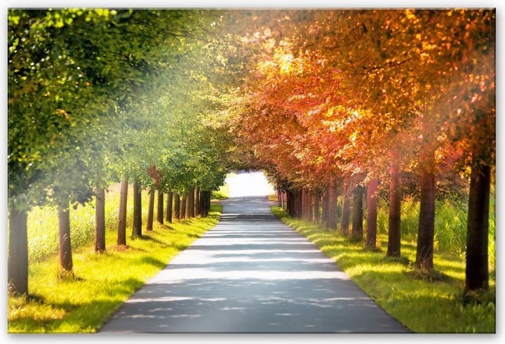 Image du produit Trenddeko Automne (200 x 130 cm)