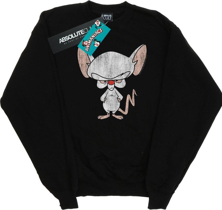 Actual product image Universal Textiles Womens/Ladies The Brain Classic Pose Sweatshirt (XXL)