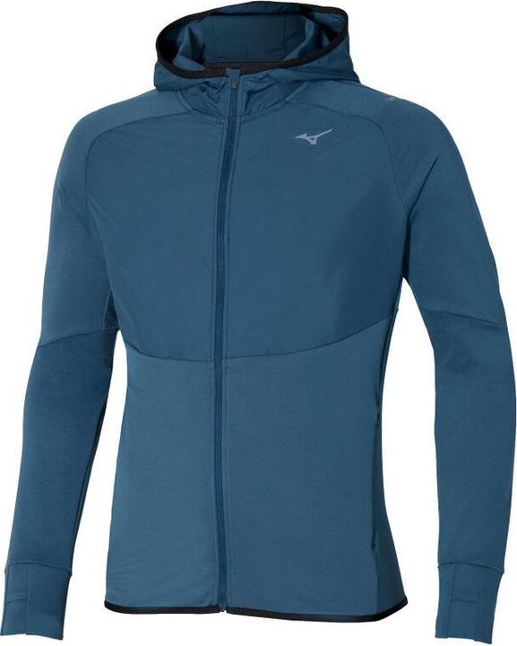 Sarcelle à ailes bleues