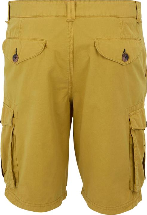 Actual product image Regatta Mens Shorebay II Cargo Shorts (Frequency band 38 (2600 MHz))