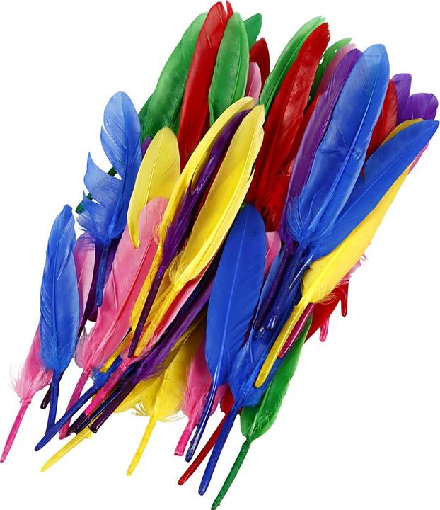 Immagine prodotto Creativ Company Feathers