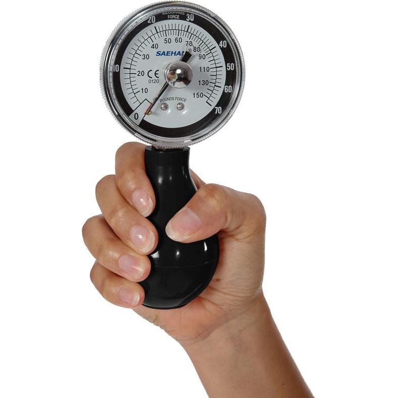 Saehan, Impugnature da allenamento