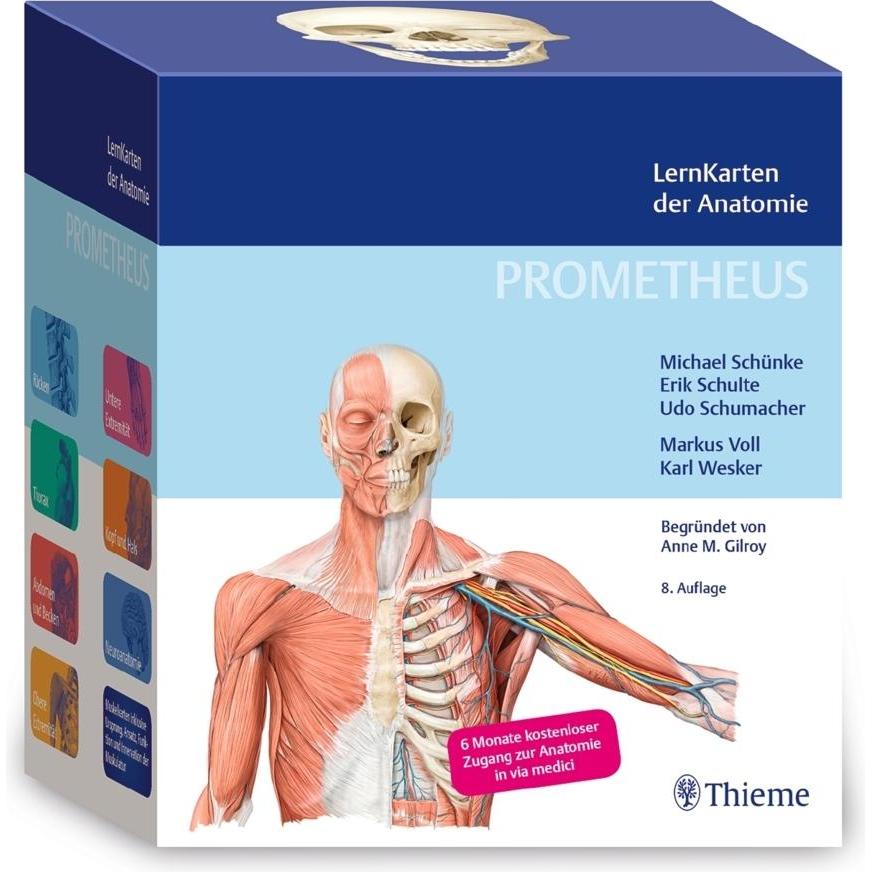 Prometheus LernKarten der Anatomie, Fachbücher von Erik Schulte, Udo Schumacher, Michael Schünke