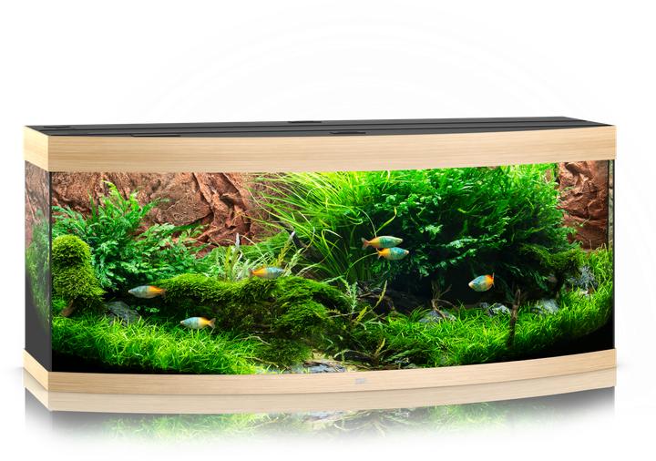 Actual product image Juwel Aquarium Aquarium Vision 450 (450 l)