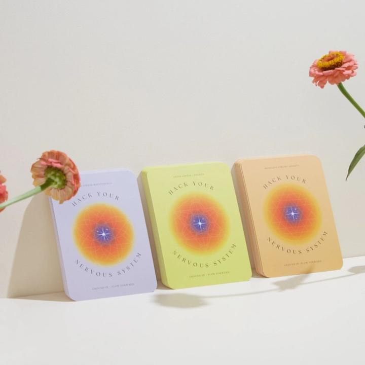 Produktbild Hack Your Nervous System card set (Englisch, Brianna Rose)
