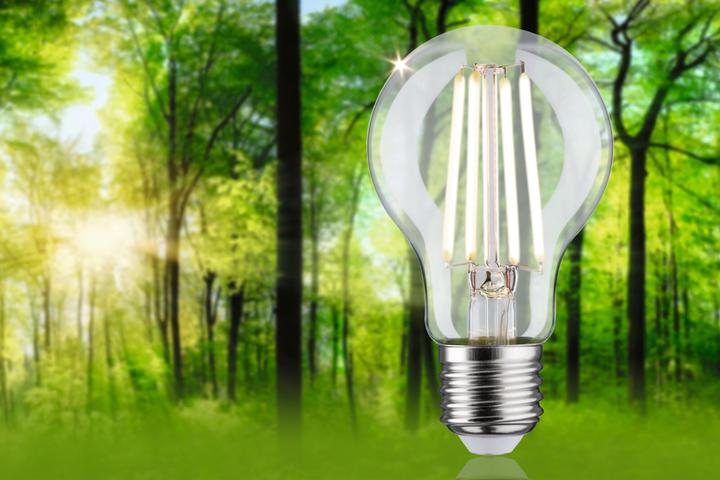 Produktbild Paulmann AGL Eco-Line Filament (E27, 525 lm, 1x)