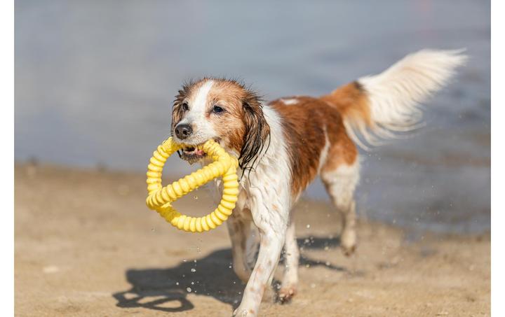 Image du produit Trixie Pince de préhension Aqua Toy (Apporter)