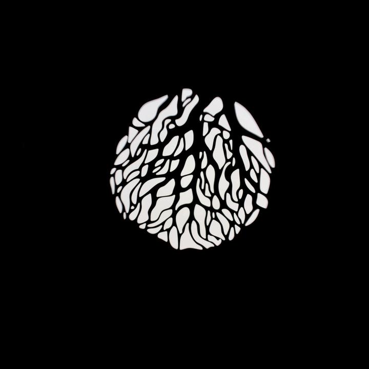 Image du produit Nanlite Couvercle de projection avec lentille de 19° (Bowens Mount)