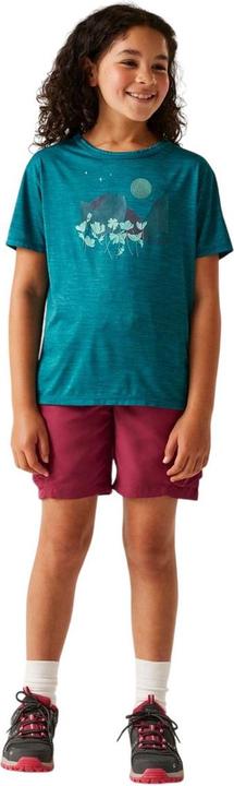 Produktbild Regatta Alvarado IX TShirt (158)