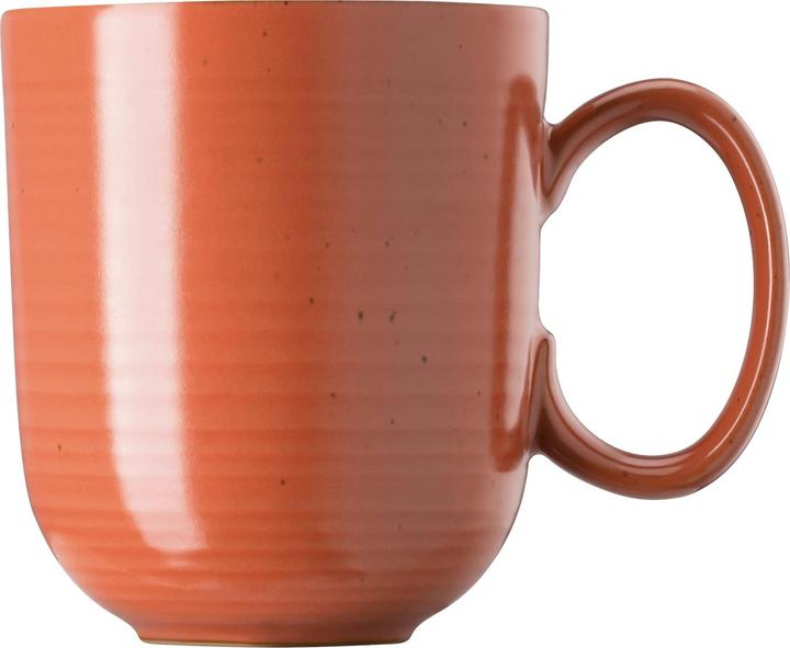 Actual product image Thomas Mug with handle 'Nature' (400 ml, 1x)