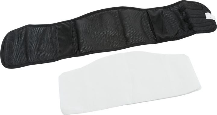 Actual product image Trixie Male bandage S-M 37-45cm (Dog)