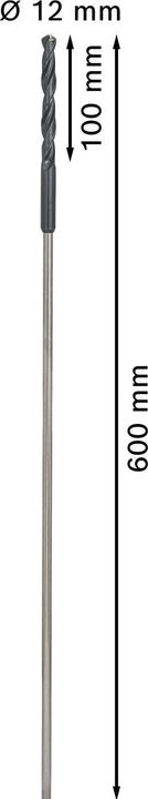 Actual product image Bosch Professional Zubehör PRO Wood HSS installation drill bit, 12 x 100 x 600 mm (8 mm)
