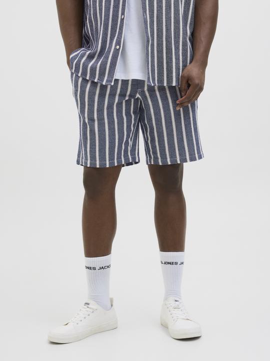 Actual product image Jack & Jones Jpstjaiden Coba Stripe Jog Short Sn Pls (42)