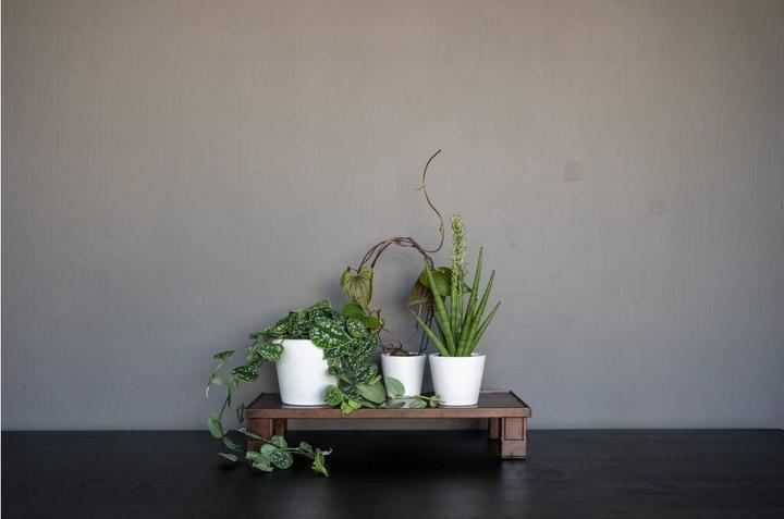 Produktbild Pottery Pots Inez S (13 x 11 cm)