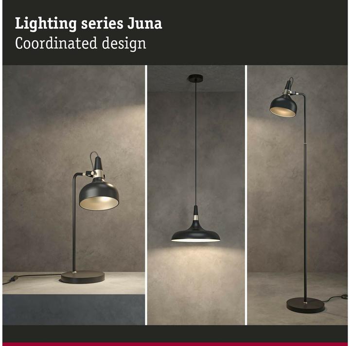 Actual product image Paulmann Juna (E14)