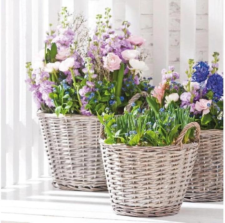 Image du produit Opiflor Hesse (22 x 20 cm)