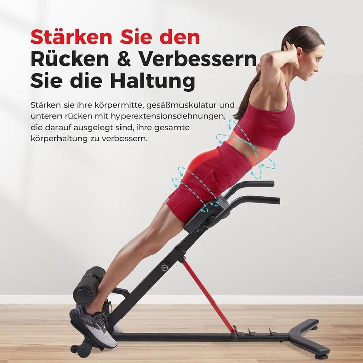 Actual product image Sunny Health & Fitness Back trainer