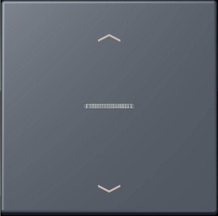 Actual product image JUNG BTLC17101P262 HOME push button