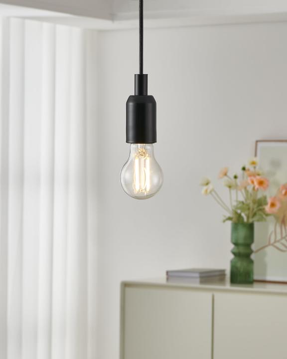 Produktbild EGLO Leuchtmittel (E27, 8 W, 1055 lm, 1 x, D)