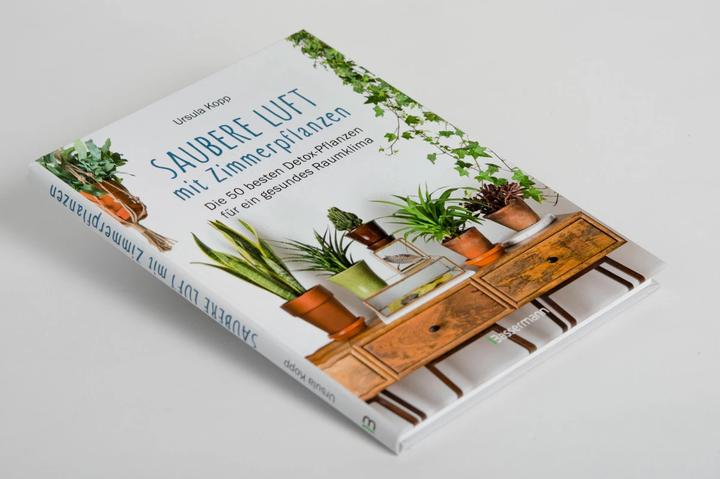 Produktbild Saubere Luft mit Zimmerpflanzen (Deutsch, Ursula Kopp, 2018)