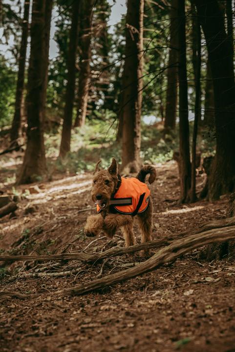 Image du produit Weatherbeeta Comfitec Parka réfléchissante 300D Manteau pour chien (25, Manteau pour chien)