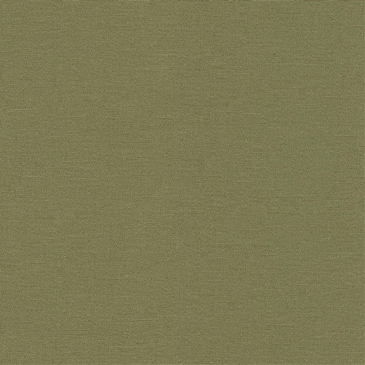 Rasch Vliesbehang 452068 Kalahari & Salsa effen groen