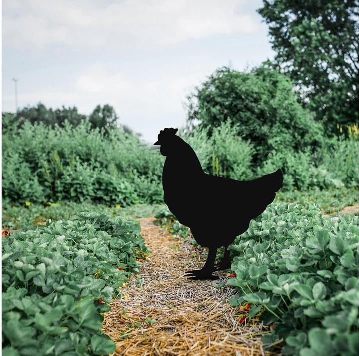 Produktbild Wallxpert Gartenstecker Chicken