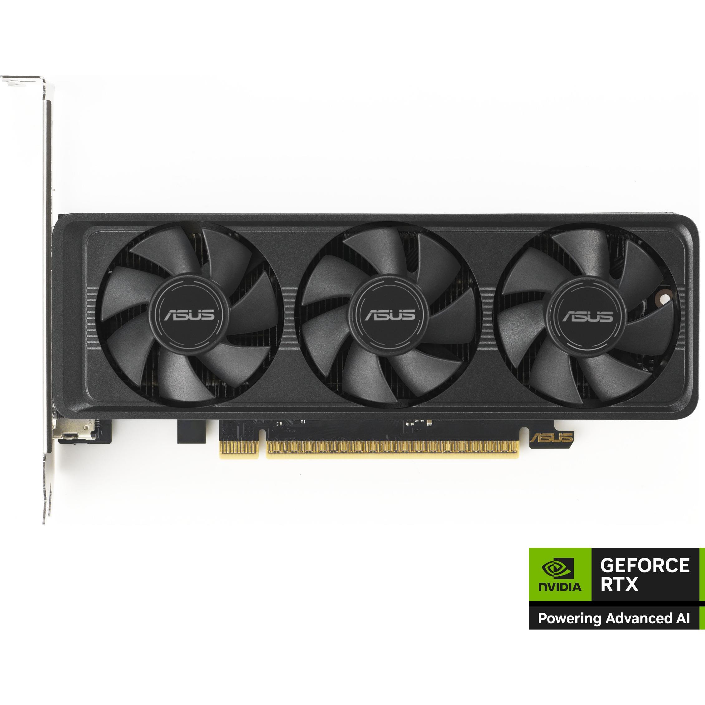 ASUS GeForce RTX 5060 LP BRK OC Edition (8 GB), Grafikkarte