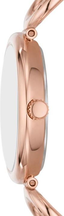 Immagine prodotto Fossil Catena Carlie Sigture (Orologio da polso analogico, 30 mm)