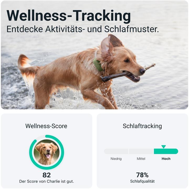 Actual product image Tractive DOG XL GPS Tracker for Dogs (Dog, General)