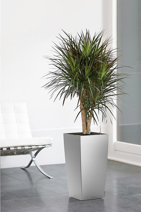 Produktbild Lechuza Cubico (22 cm)