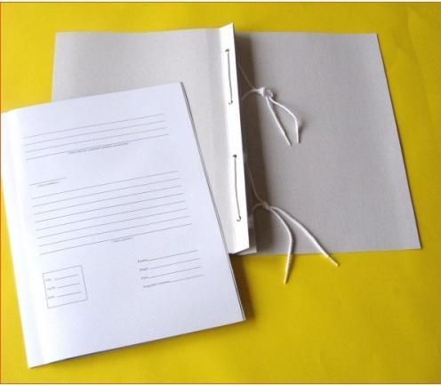 ART Folder SMLT, archival, A4 2cm, 300 g, with 2 laces, with print, white, cardboard (A4)