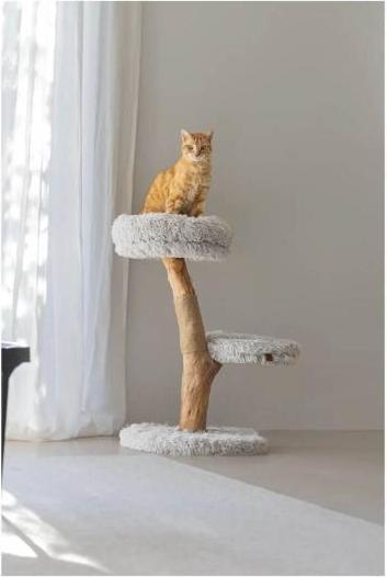 Actual product image Designed by Lotte Zora (72 cm, Nature, Gray)