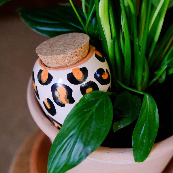 Image du produit Pepin Olla Leopard (Cône d'argile)