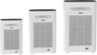 Actual product image Bold 10648 (43 m²)