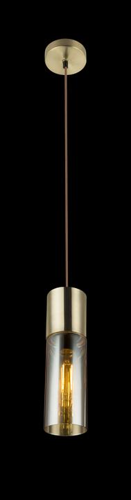 Actual product image Globo Pendant lamp Annika (E27)