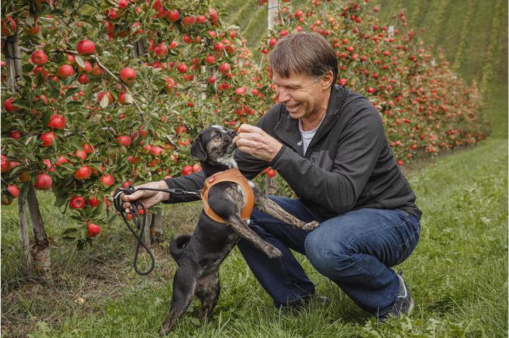 Productafbeelding Curli Harnas Appelleder, S, Bruin (S, Hond, Algemeen)